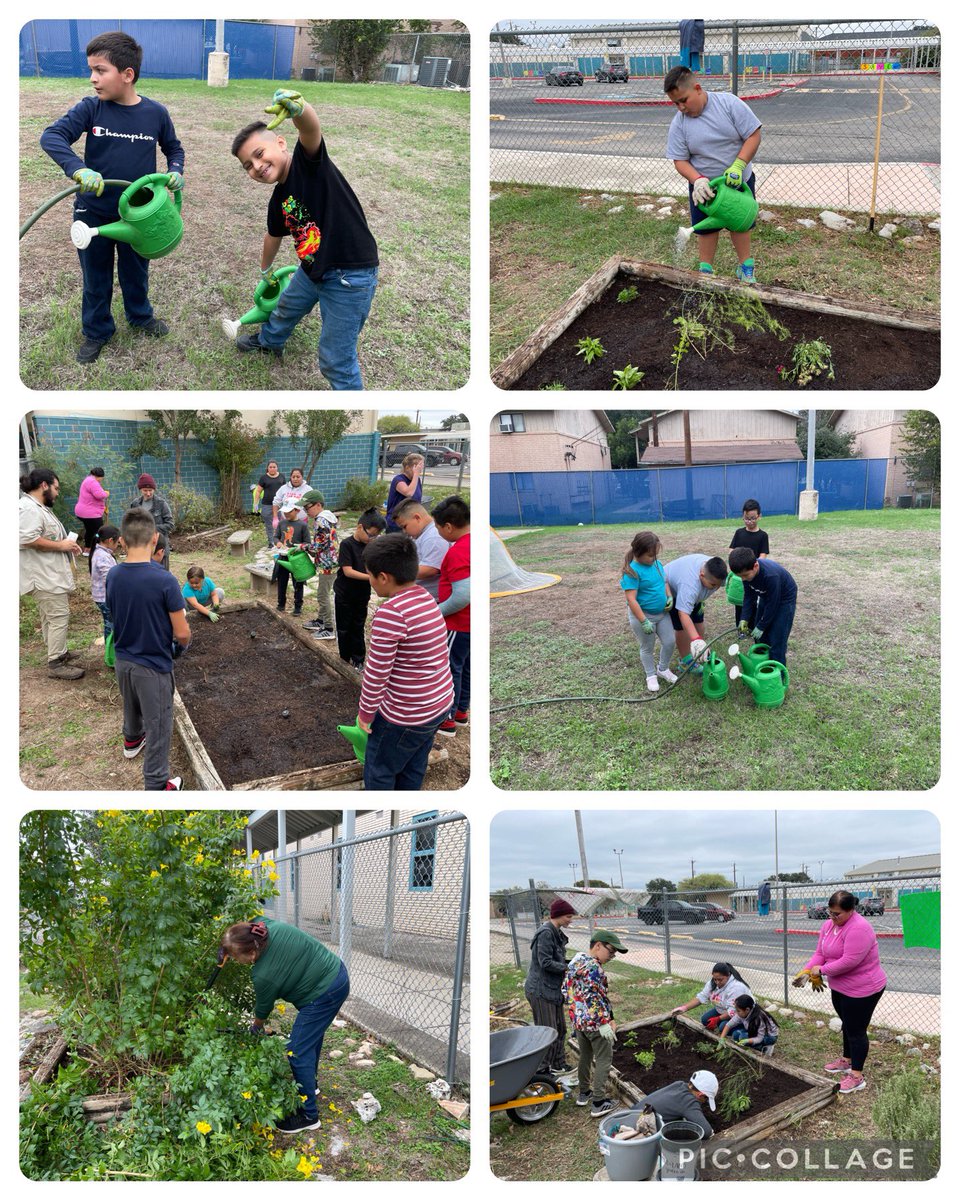 Winston Intermediate School of Excellence (@winston_ise) on Twitter photo We love our garden as much as we love our #WISEFamilies #TeamWISE <a href="/AnaCantuEISD/">Ana Cantu</a> <a href="/TheInstituteSA1/">TheInstituteSA</a> <a href="/dra_snsanchez/">sonia n. sánchez</a> <a href="/RosaSolis2127/">Rosa Solis, M. Ed.</a> We love our garden as much as we love our #WISEFamilies #TeamWISE <a href="/AnaCantuEISD/">Ana Cantu</a> <a href="/TheInstituteSA1/">TheInstituteSA</a> <a href="/dra_snsanchez/">sonia n. sánchez</a> <a href="/RosaSolis2127/">Rosa Solis, M. Ed.</a>