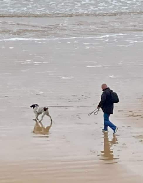 Railway Dogs Benevolent Fund tweet media