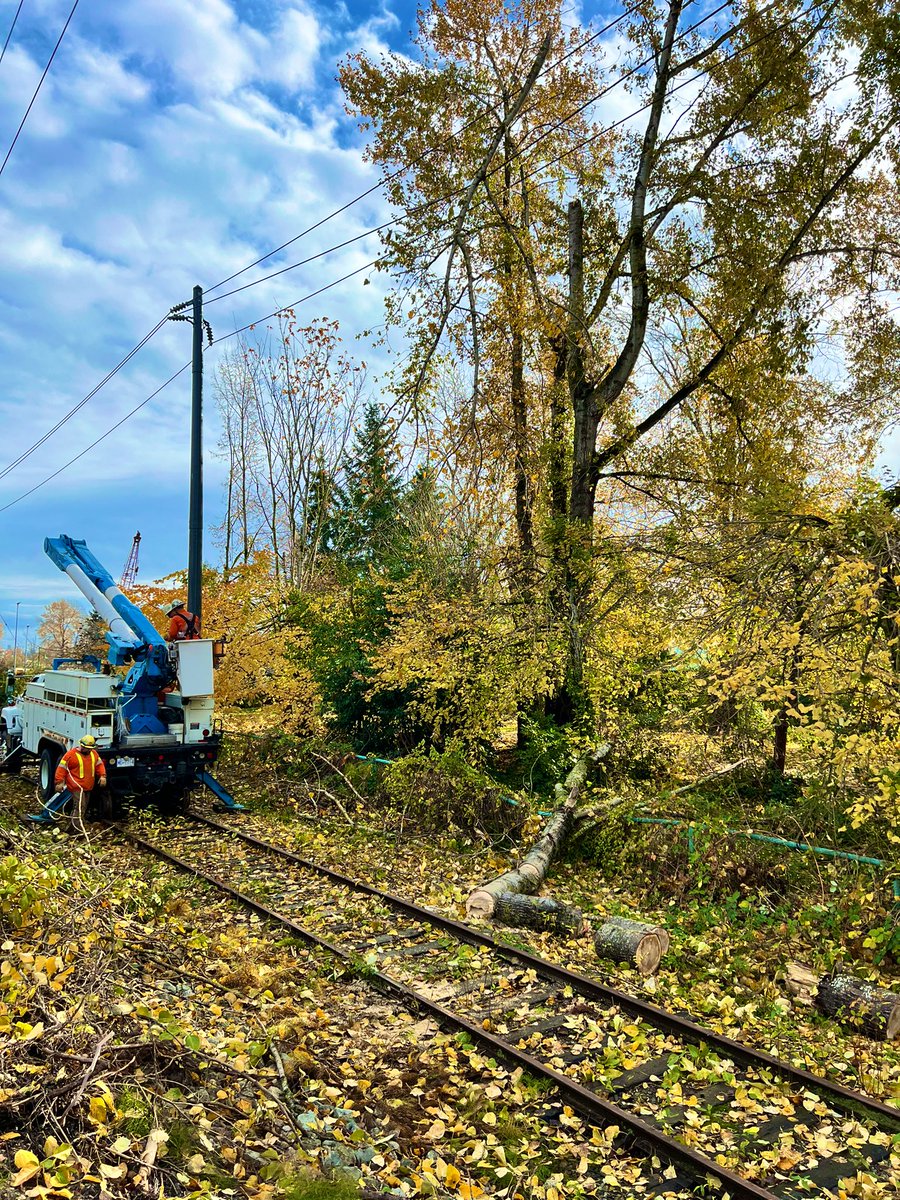 Philipp Postrehovsky tweet media