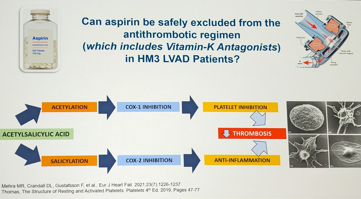 ARIES HM3: Aspirin Discontinuation in HeartMate3

HM3's improved device hemocompatibility  allows for minimal thrombotic risk but still plagued by bleeding events. Minimization of bleeding represents the main space for risk reduction in the current LVAD population.

LBCT #AHA23