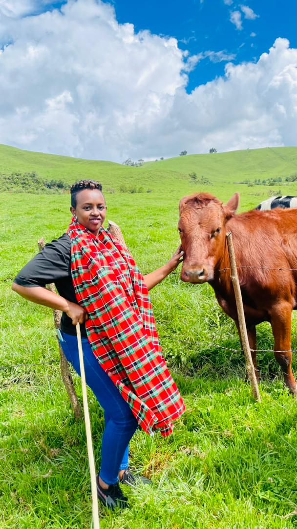 Ngabo_Karegeya's tweet photo. Basi reka bwarimwe mbafashe simbabaze.

Iri bara ry'iyi nka ni niryo ryitwa Ibihogo ♥️🇷🇼 https://t.co/g2CXjXOdSm