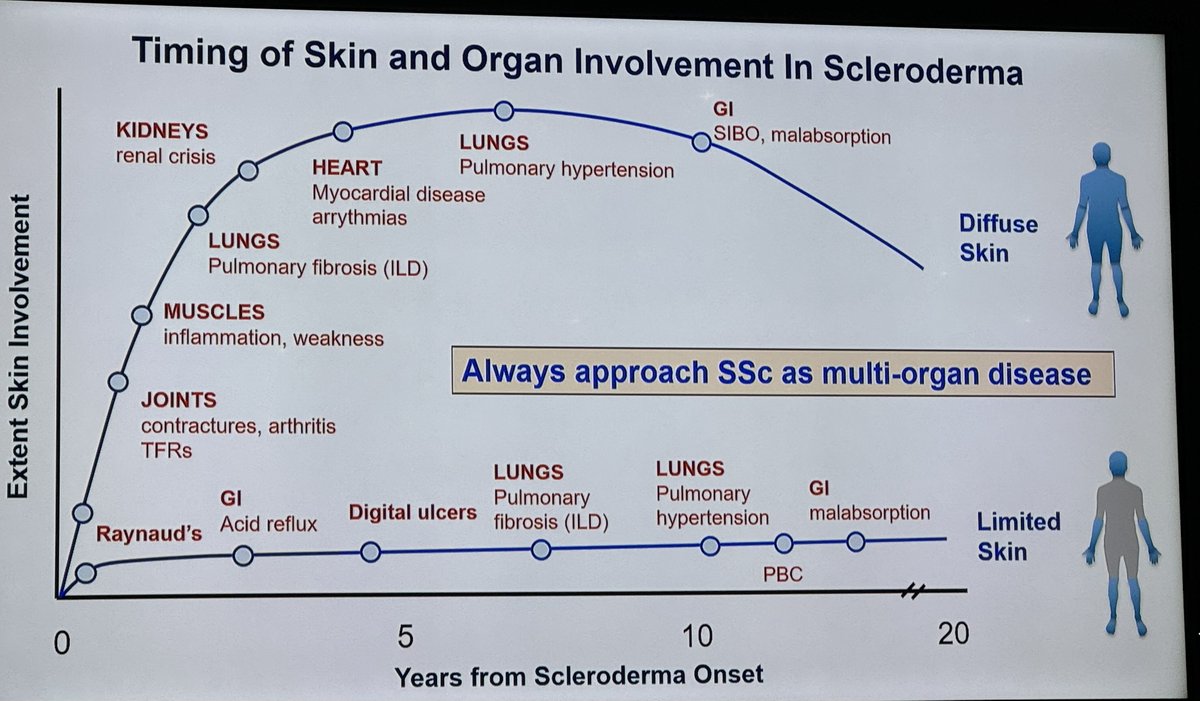 Takeaways from #ACR23 #ReviewCourse session on Systemic Sclerosis Screening for Organ Involvement - Dr. Francesco Boin

1. Always approach SSc as a systemic disease (see slide). Survival is determined by subset (limited vs diffuse) and organ manifestations. 

2. Autoantibodies…