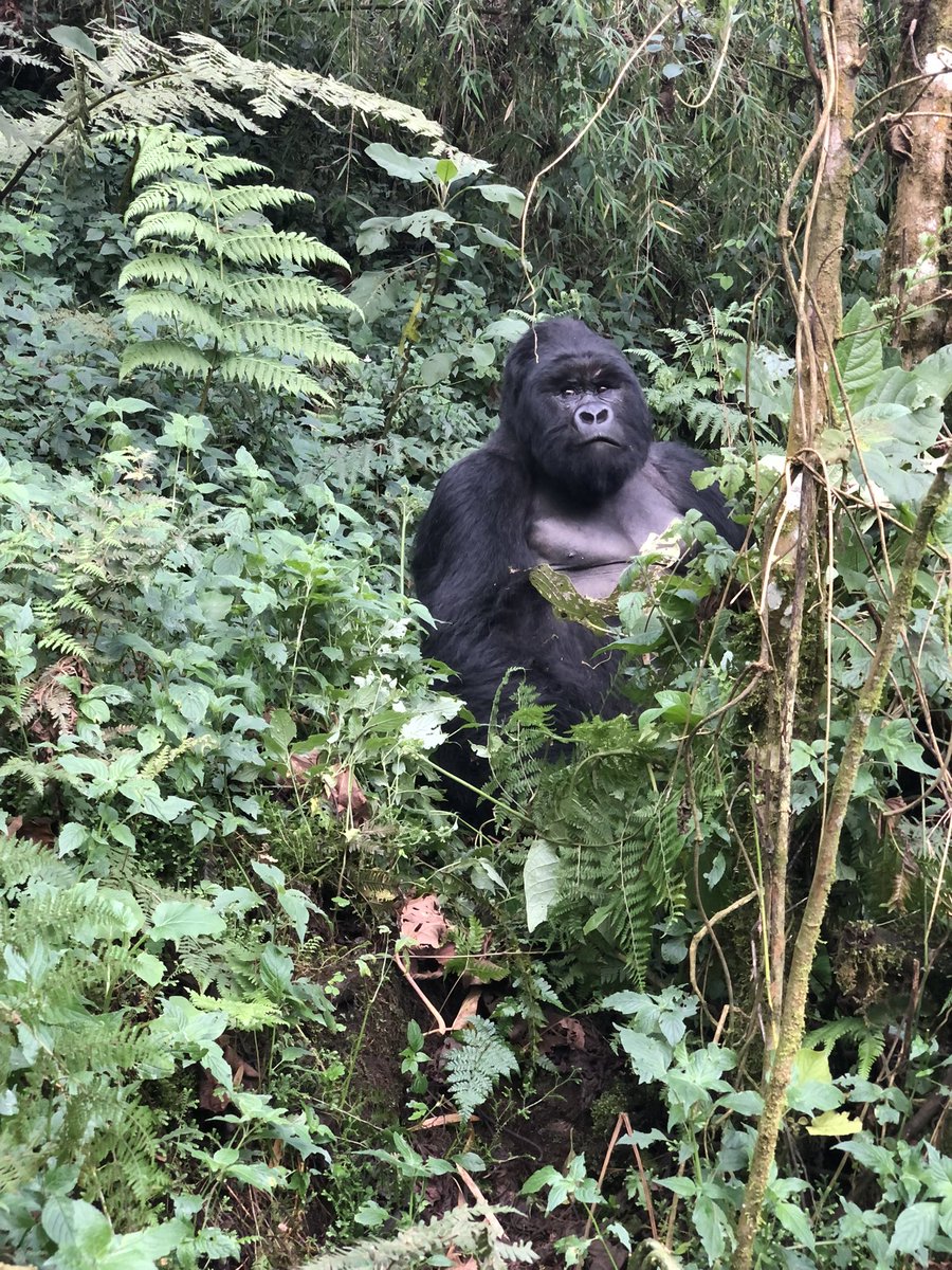 Uwacu's tweet photo. Visited the Kwitonda family last week and I can’t even find the words to describe this experience ♥️

#visitrwanda https://t.co/0Niv7bokvM