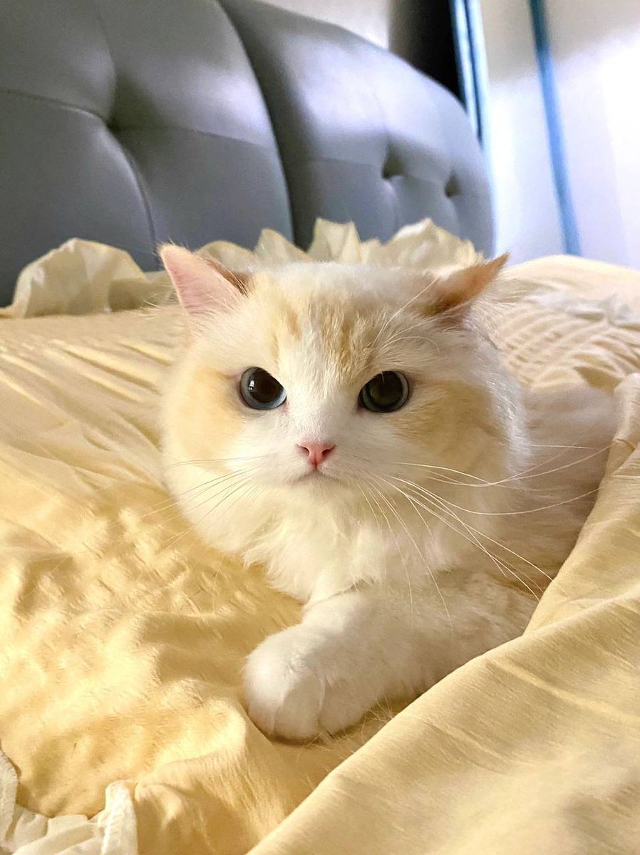 Tomorrow is vivid and specific, and there is only one of you😘

My years are warm because of you, you are my sweetest gift😺

People use gentle to describe you, I use you to describe gentle.😊