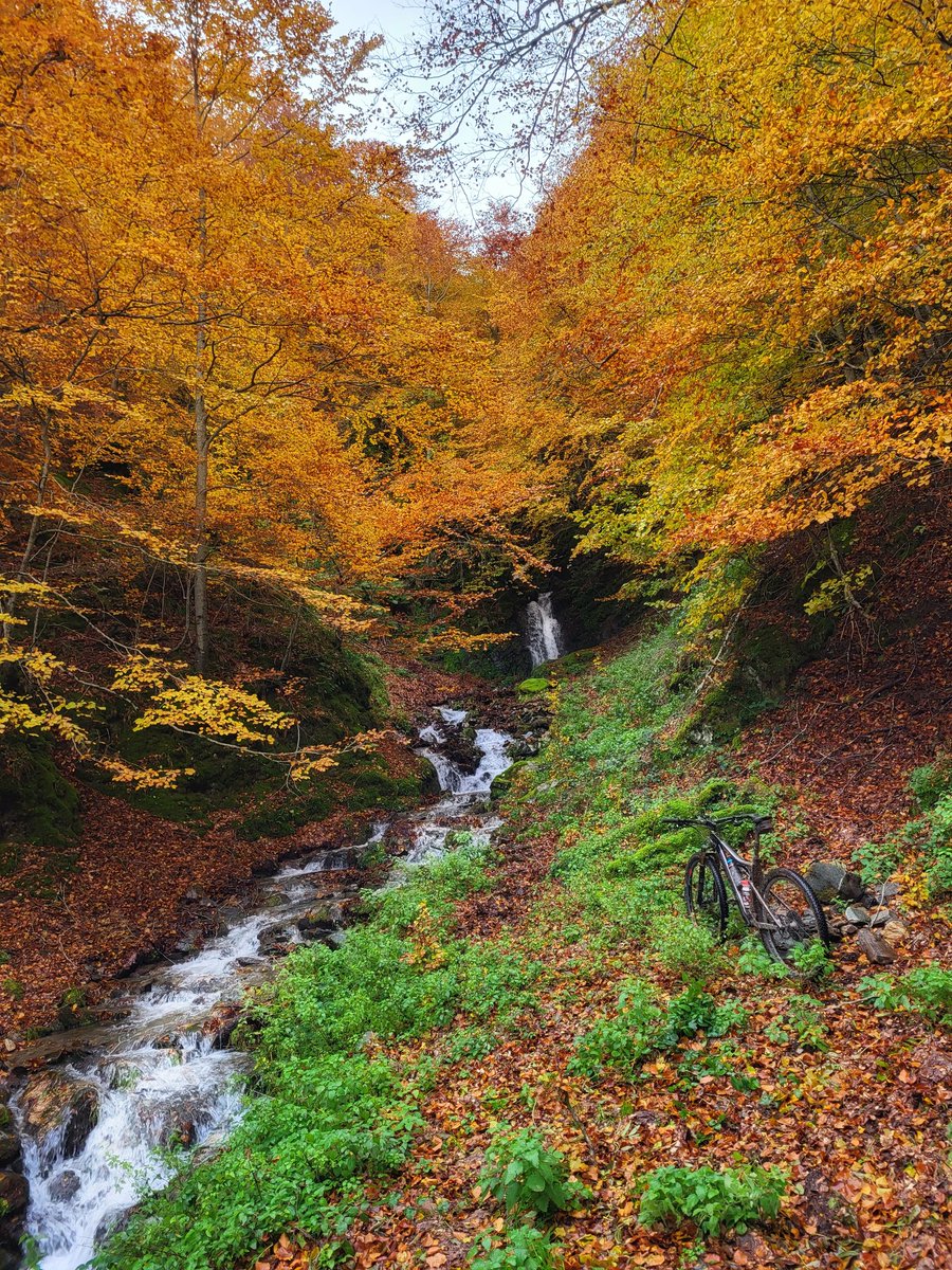 Amantes del Ciclismo tweet media