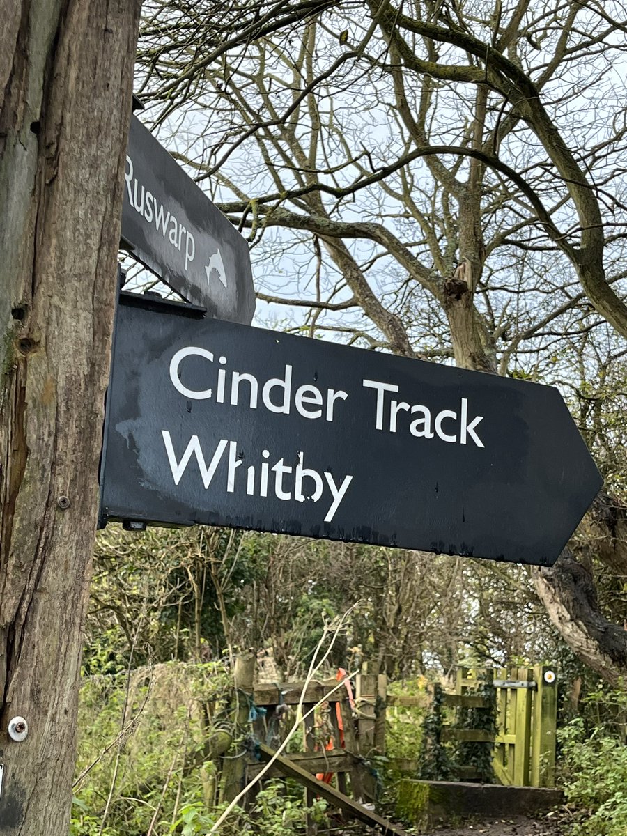 Dr Annabelle James (@ajteesuni) on Twitter photo Minimal speed - a tortoise would have been faster- as my injuries have injuries - but 100 parkrun locations completed today at ‘sunny’ Whitby. <a href="/parkrunUK/">parkrun UK</a> Minimal speed - a tortoise would have been faster- as my injuries have injuries - but 100 parkrun locations completed today at ‘sunny’ Whitby. <a href="/parkrunUK/">parkrun UK</a>