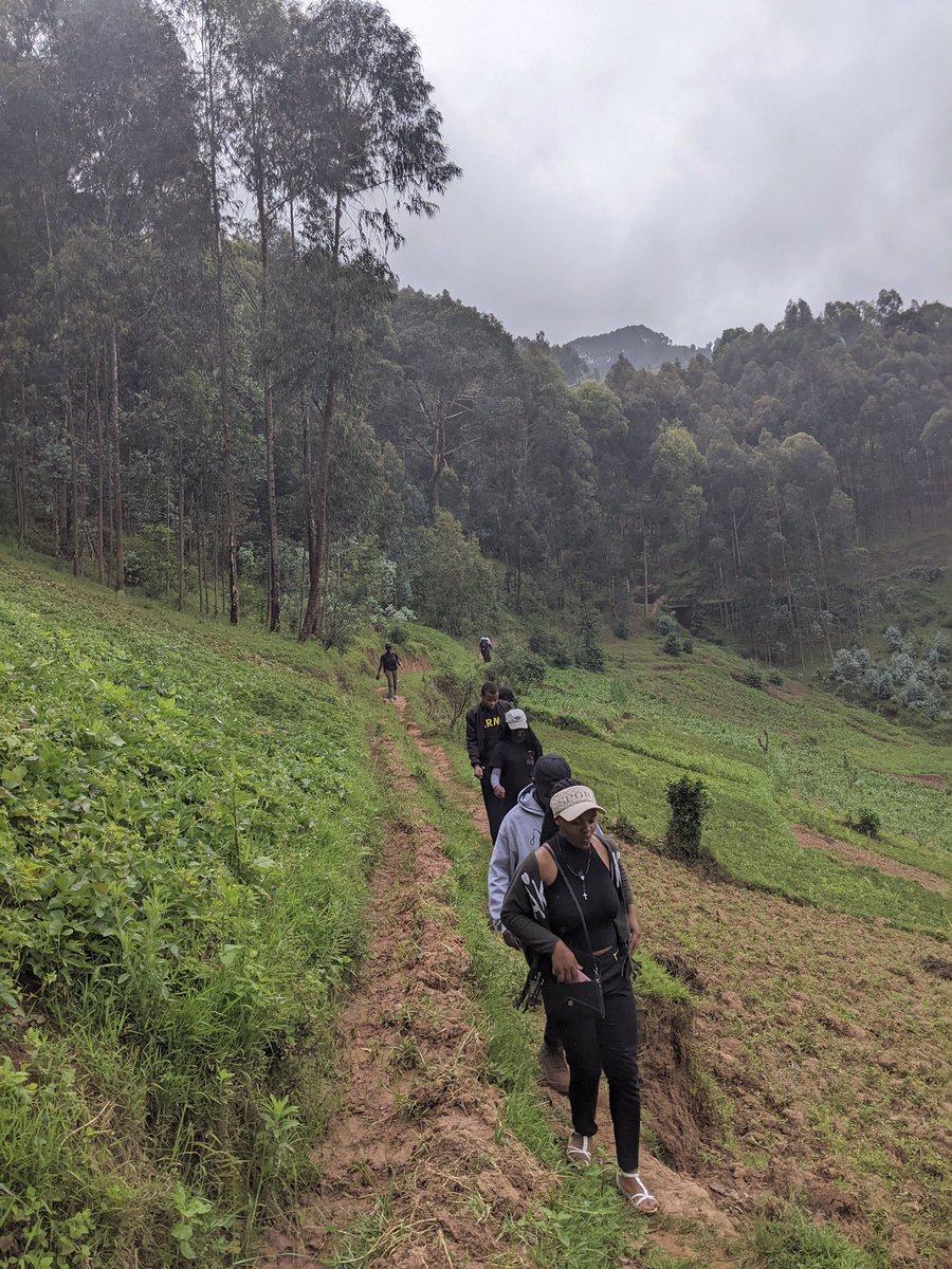 UGHE_SOHIC's tweet photo. 🌿👣Walk the Talk Day! 

Exploring, learning, and paving the way for projects that'll make a positive pawprint in our community! 🐾💚

 #OneHealthMonth 
#WalkTheTalk
#CommunityExploration https://t.co/EoSq3bAqjR