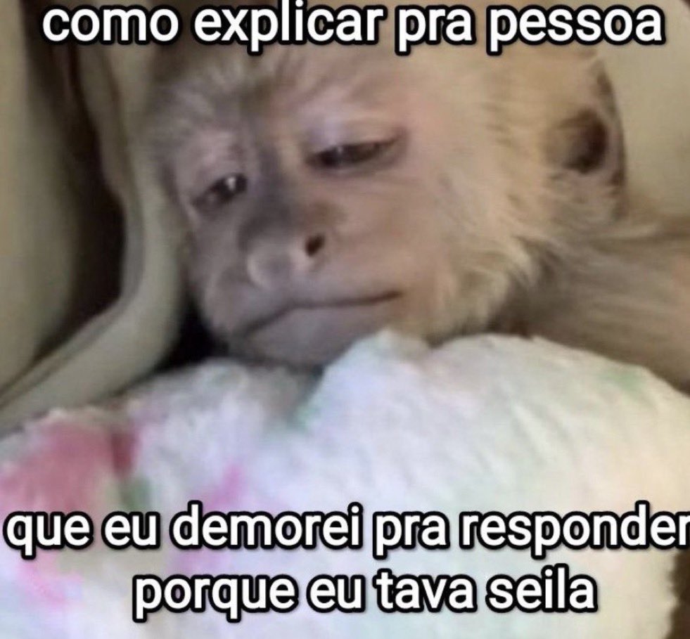 sou assim