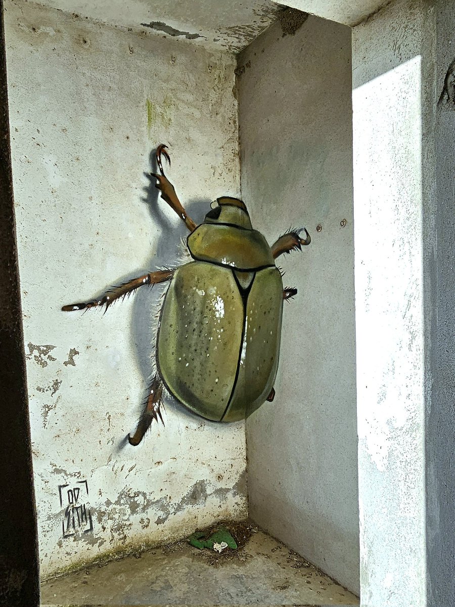 huge beetle
#odeith #StreetArt 
odeith.com