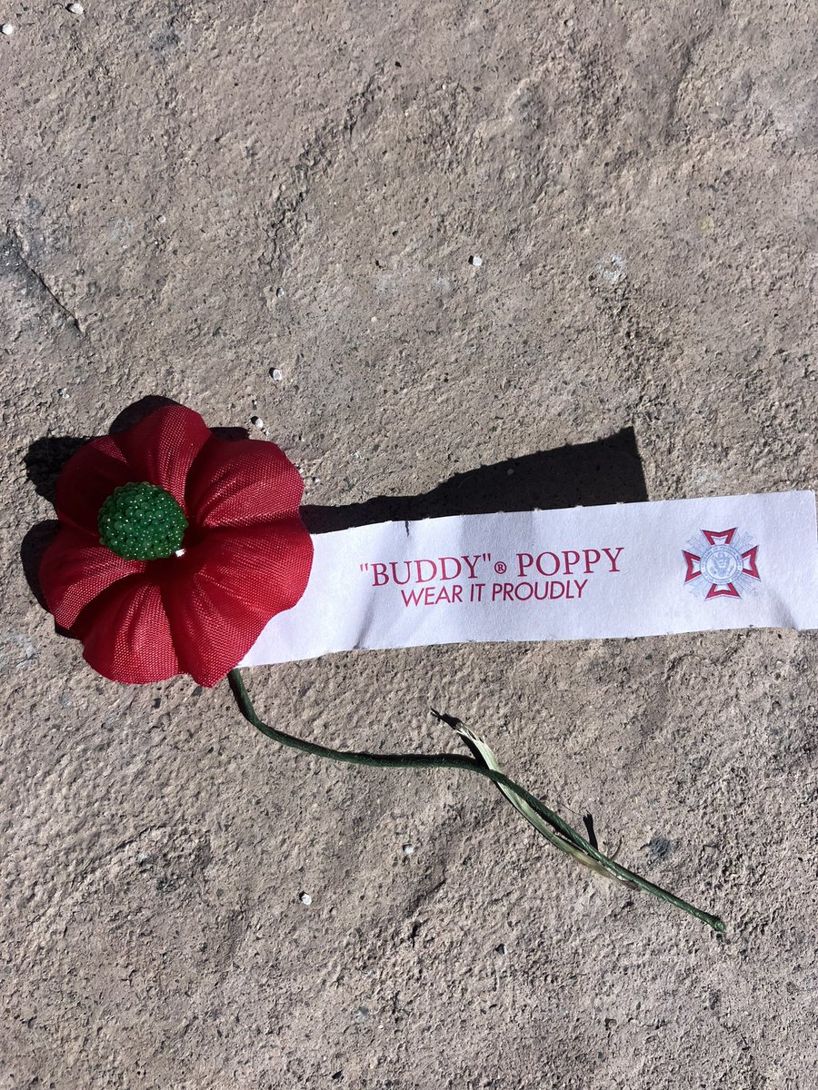 Michsteer's tweet photo. I got a poppy for Armstice, reminded of the Poppy poem.
In Flanders fields the poppies blow
Between the crosses, row on row,
That mark our place; and in the sky
The larks, still bravely singing, fly
Scarce heard amid the guns below.
#ArmsticeDay #Armstice #Saturday https://t.co/4MfNeD9pzm