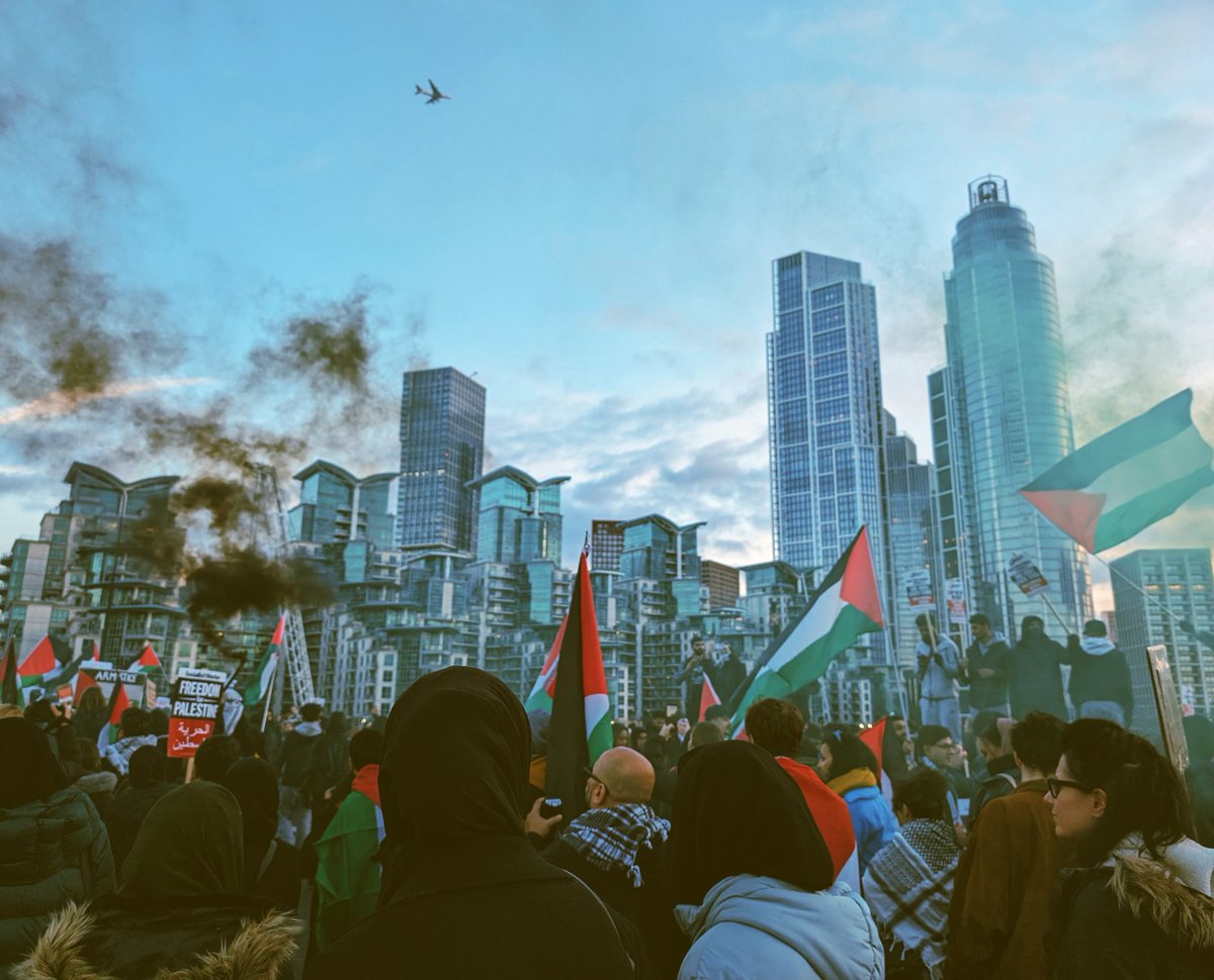 kate flood 🇵🇸 tweet media