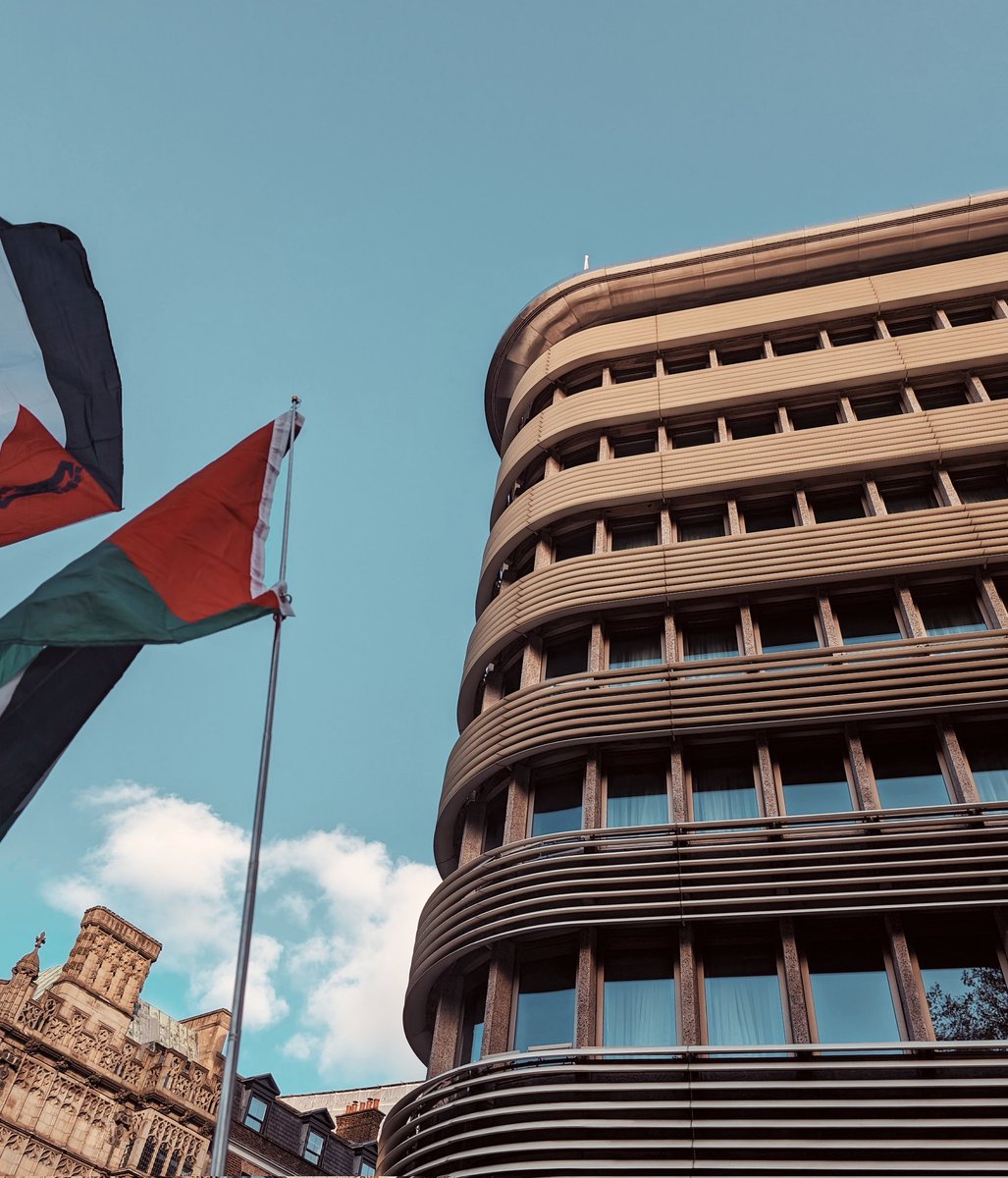 kate flood 🇵🇸 tweet media