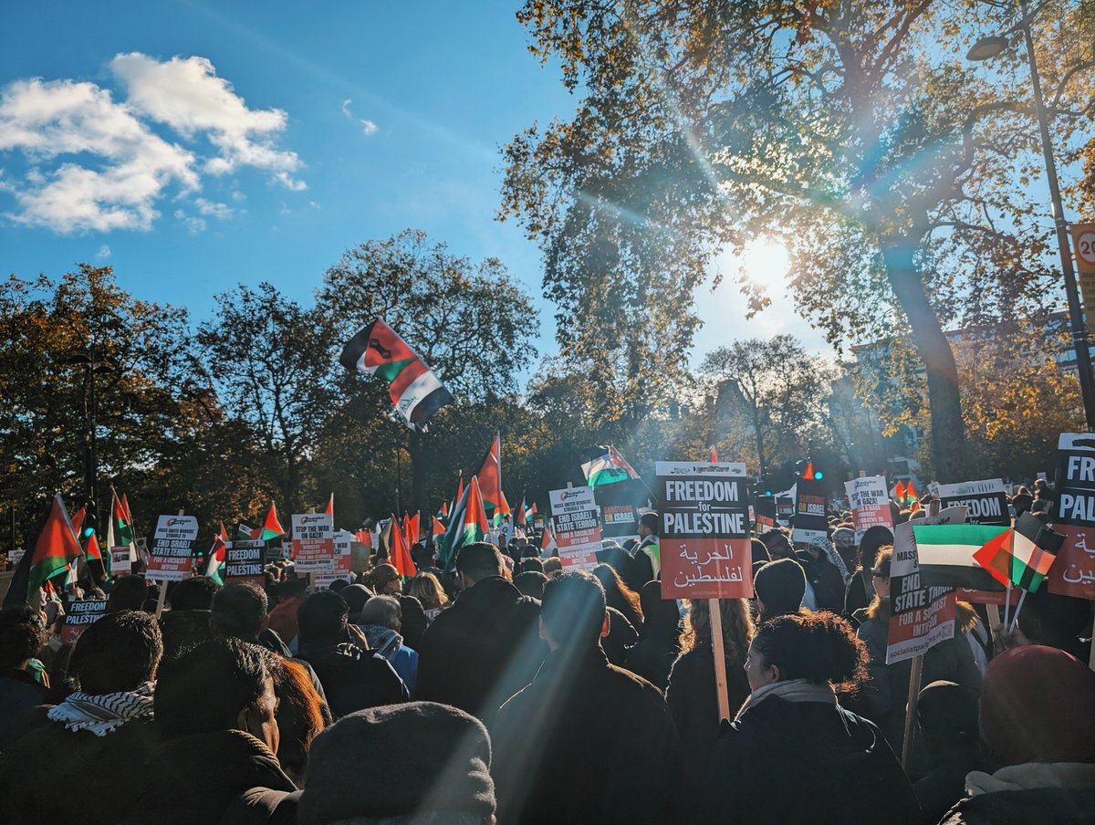 kate flood 🇵🇸 tweet media