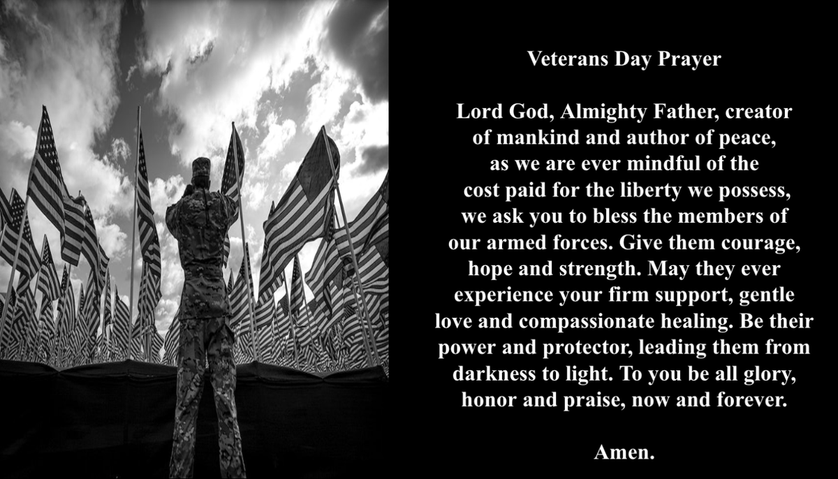 CathedralChapel's tweet photo. CCS wishes to thank all veterans for their courage, hope, and strength in the face of adversity.  We salute you! #VeteransDay2023 #ResponsibleCitizens #CCSWolves #Honor #Duty #Freedom https://t.co/PI0afaBeli