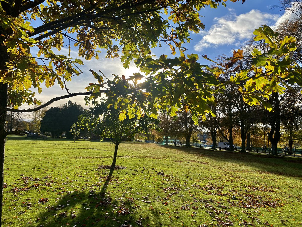 Fabulosity Force (@fabulosityforce) on Twitter photo A delightful afternoon watching an incredible game of rugby. The passion, respect and sportsmanship was outstanding. #AutumnBeauty <a href="/EpsomCollegeUK/">Epsom College</a> <a href="/EpsomC_Propert/">Propert House</a> <a href="/EpsomC_Sport/">Epsom College Sport</a> A delightful afternoon watching an incredible game of rugby. The passion, respect and sportsmanship was outstanding. #AutumnBeauty <a href="/EpsomCollegeUK/">Epsom College</a> <a href="/EpsomC_Propert/">Propert House</a> <a href="/EpsomC_Sport/">Epsom College Sport</a>
