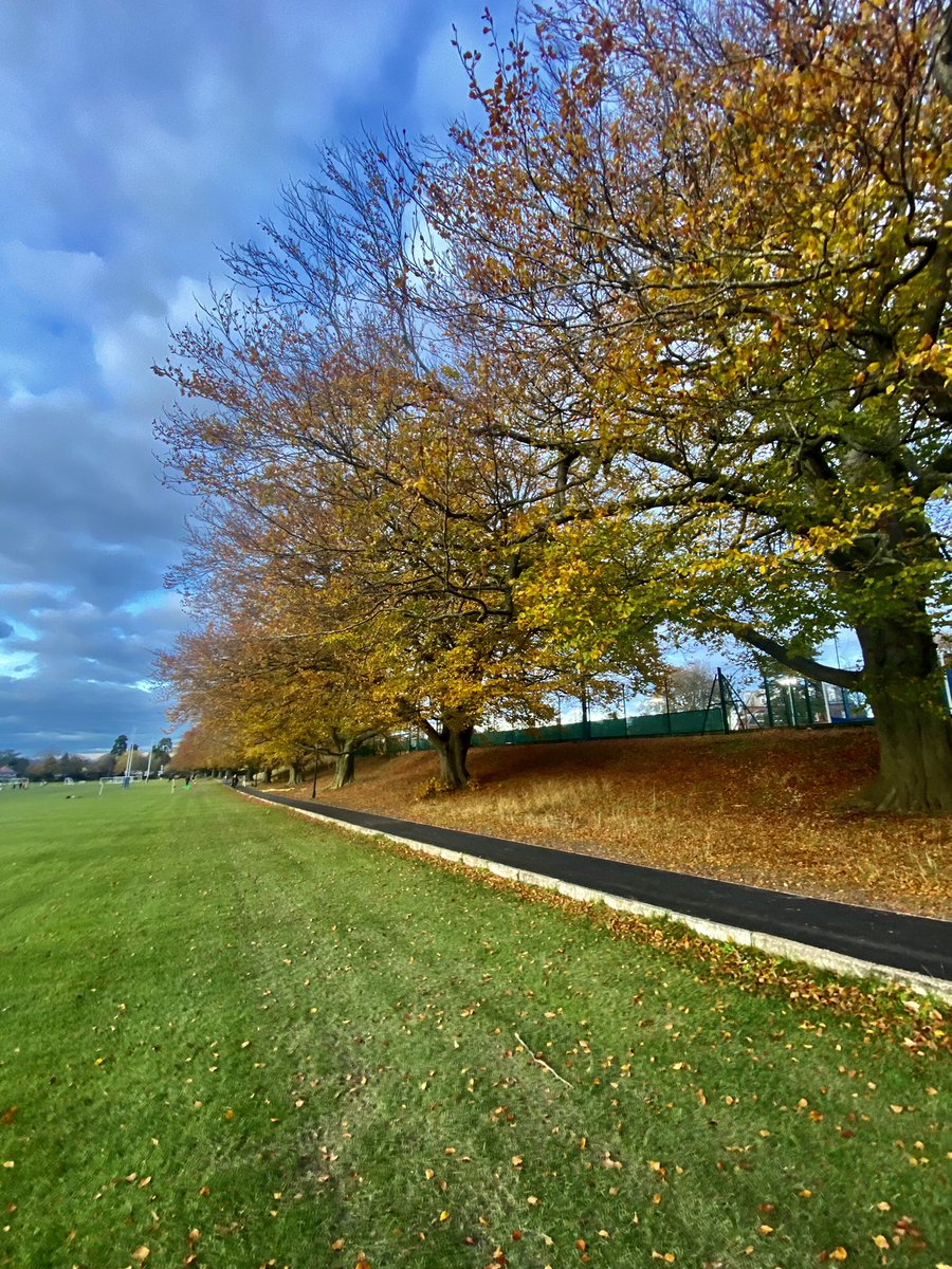 Fabulosity Force tweet media