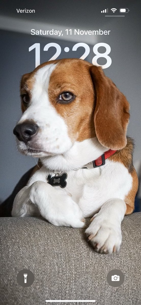 doloresrobles_m's tweet image. Y acá el segundo de la pequeña #Musetta