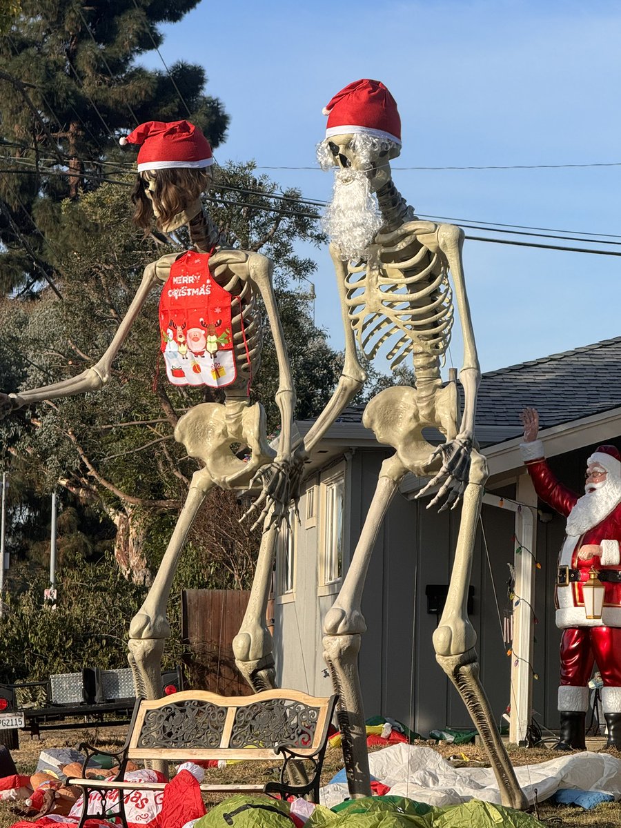 marlenejo's tweet photo. Halloween still flourishes. https://t.co/V1I2d3X37p