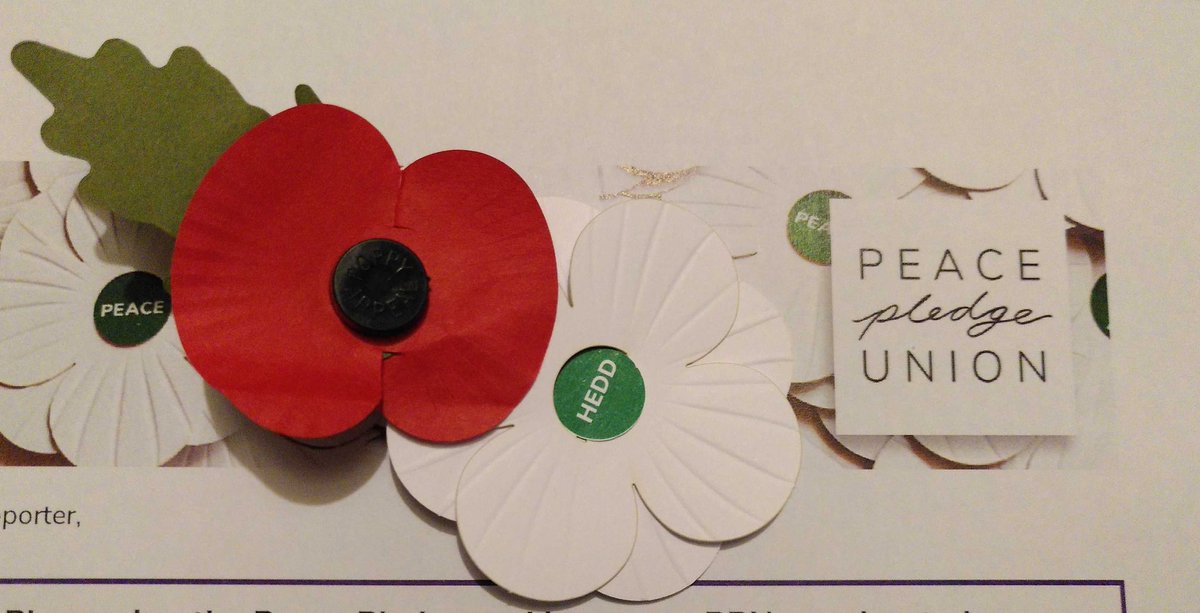 What do you say?

On the 11th of November 2023 the British Home Secretary used words that emboldened white male adults to fight the police AT THE CENOTAPH

I'm not a pacifist. My friend was. He's no longer here, but I've gladly worn a #WhitePoppy and today I remember him