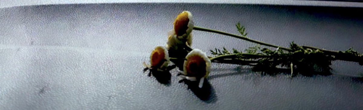 Kaç yol, ağlamaklı olmuşum  geceleri
Asıl, bizim aramızda güzeldir hasret
Ve asıl biz biliriz kederi.
                                                  #Ahmedarif