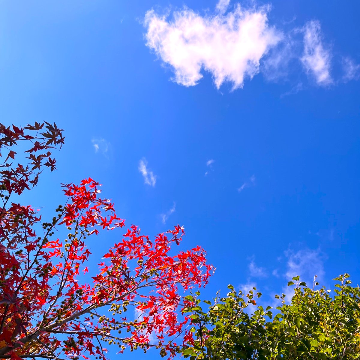 Delightful afternoon in the Autumn sunshine following the <a href="/leeopenstudios/">Lee Green Open Studios</a> #openstudios trail around Lee and Hither Green #SE12 &amp; #SE13 on again tomorrow and next weekend #supportlocal #localtalent #BrightIdeas #artsevent