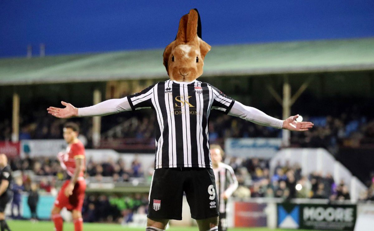 He’s got rabbits in his house <a href="/Cody_Cooke/">Cody Cooke</a>