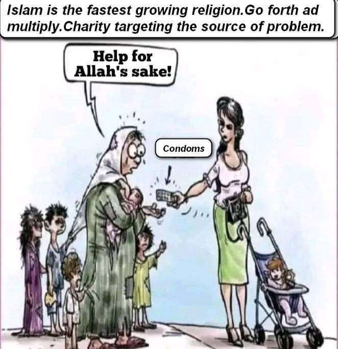 MathewExplorer's tweet image. 