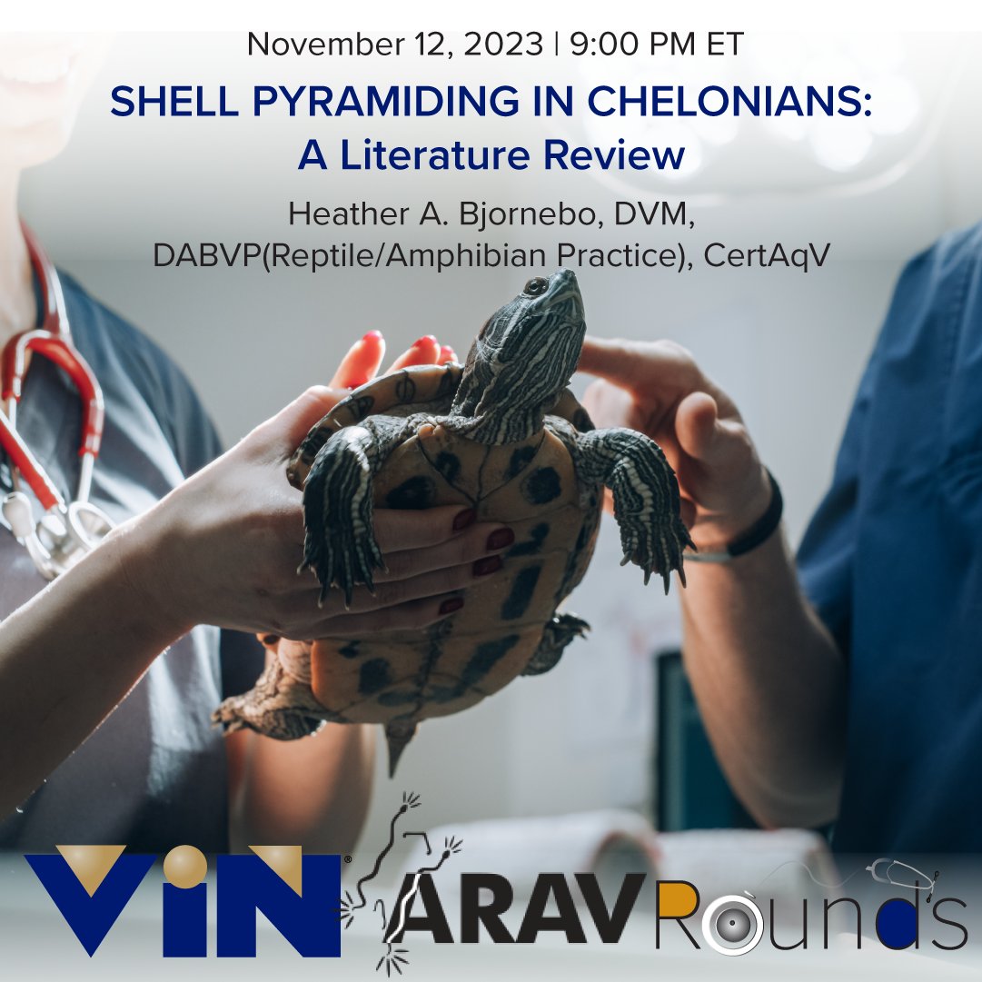 Struggling to understand the complexities of shell pyramiding in captive tortoises and turtles? Join Dr. Bjornebo to review current literature and discuss options for prevention and treatment. vin.com/vinmembers/rou…