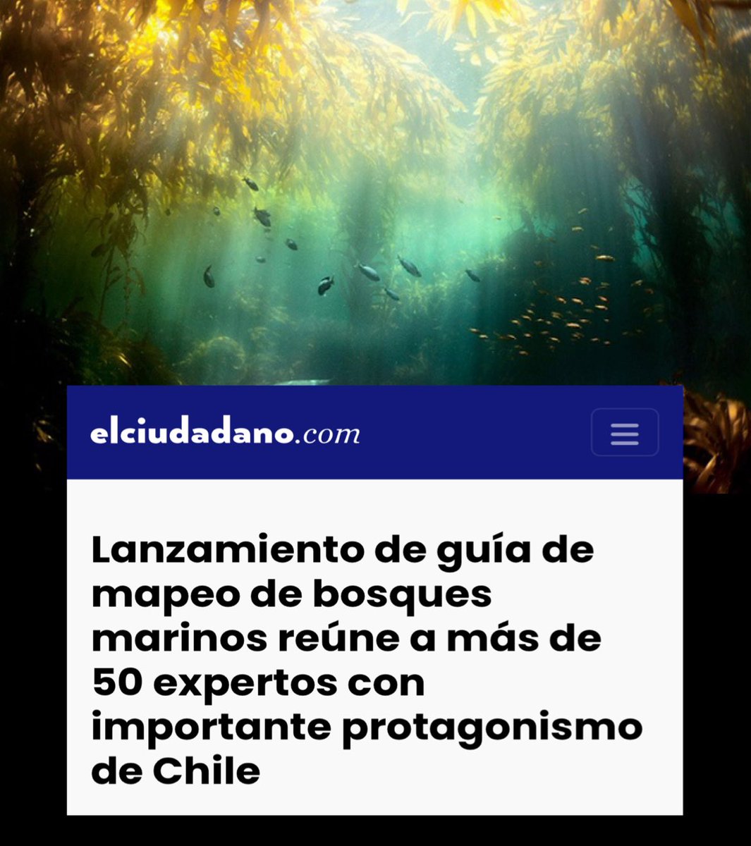 ¿Quieres Una linda y buena noticia?
.
.
Lanzaron guía de mapeo de #bosquesmarinos junto a más de 50 expertos con importante protagonismo de #Chile.
.
.
Este 7 de noviembre se realizó el lanzamiento de la guía “Mapping Canopy-Forming Kelps in the Northeast Pacific”, asimismo se