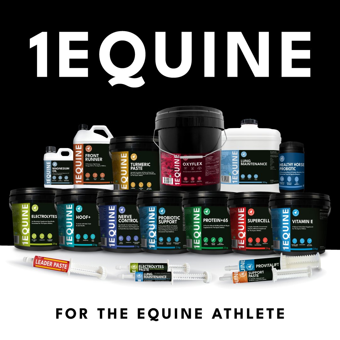 1equine.com.au - where you can find all the support for your equine athlete 💪🏽