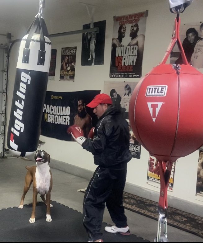 SmittyBoxing's tweet image. A pair of Focused Boxers. #boxingworkout #heavybagworkout #charleyburley1