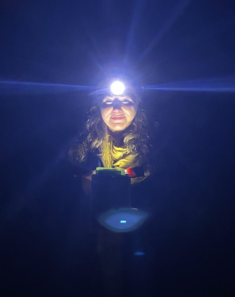 Cumbria Uni English tweet media