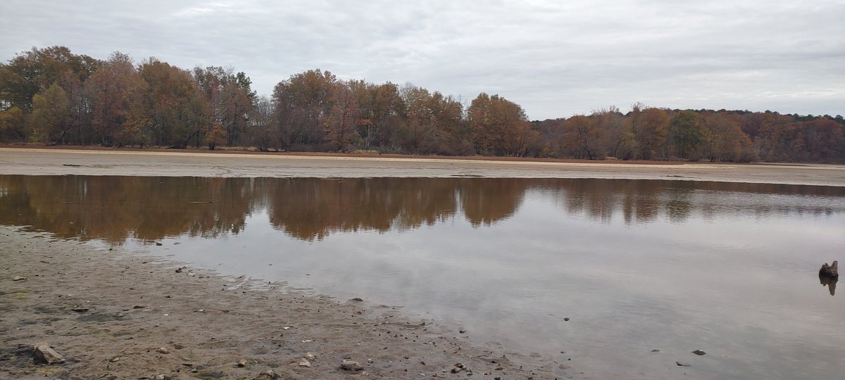 willmpolk's tweet photo. Really get a sense of how abnormally dry it is around here when you go out to @NCparks #JordanLake and see how much it has receded from it's usual levels. https://t.co/LXwLZ0jTlc
