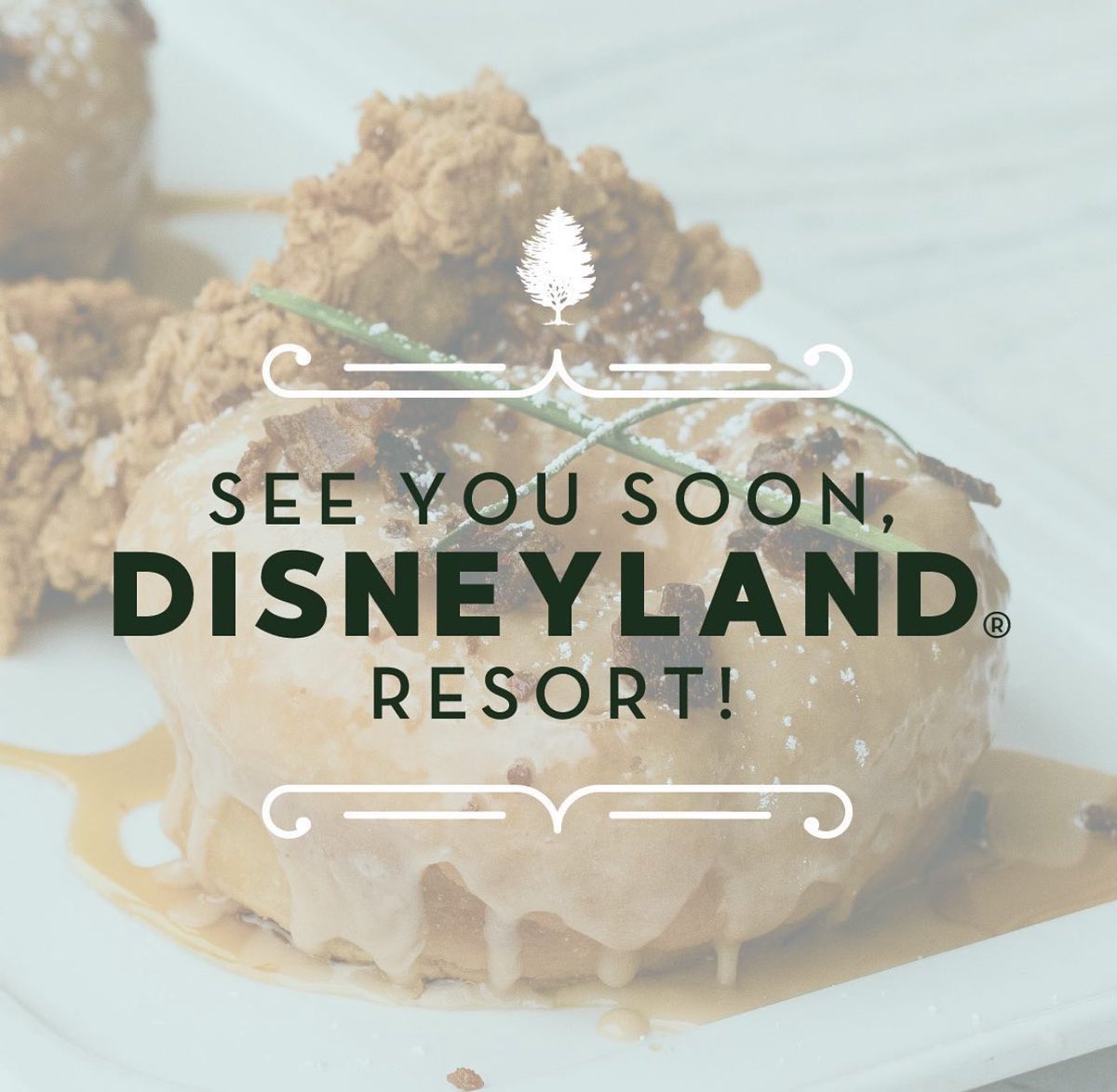 David Vaughn tweet media