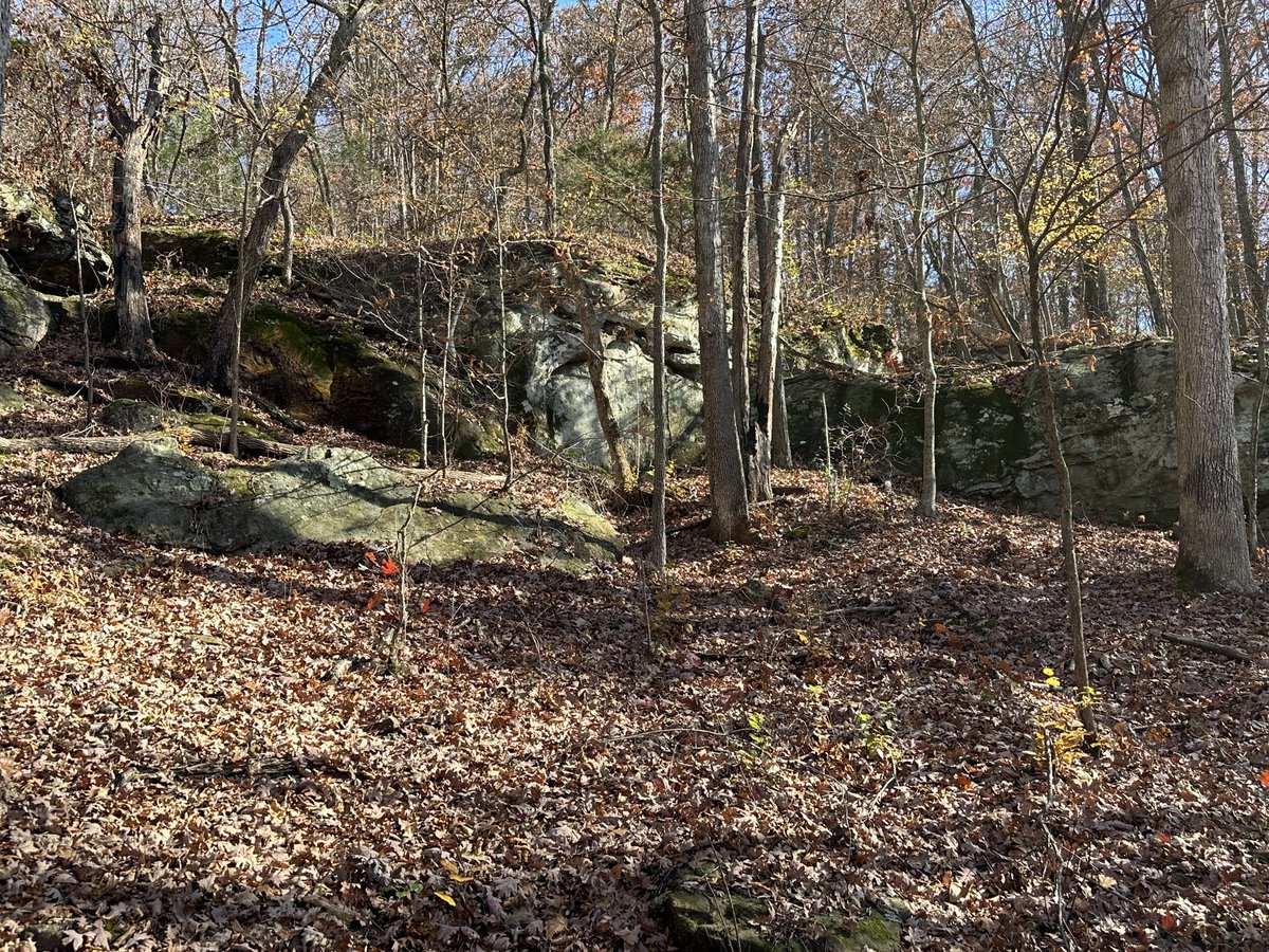 chrisasimpson's tweet photo. Great group to explore Giant City State Park with today. https://t.co/2LhLQBHMa9