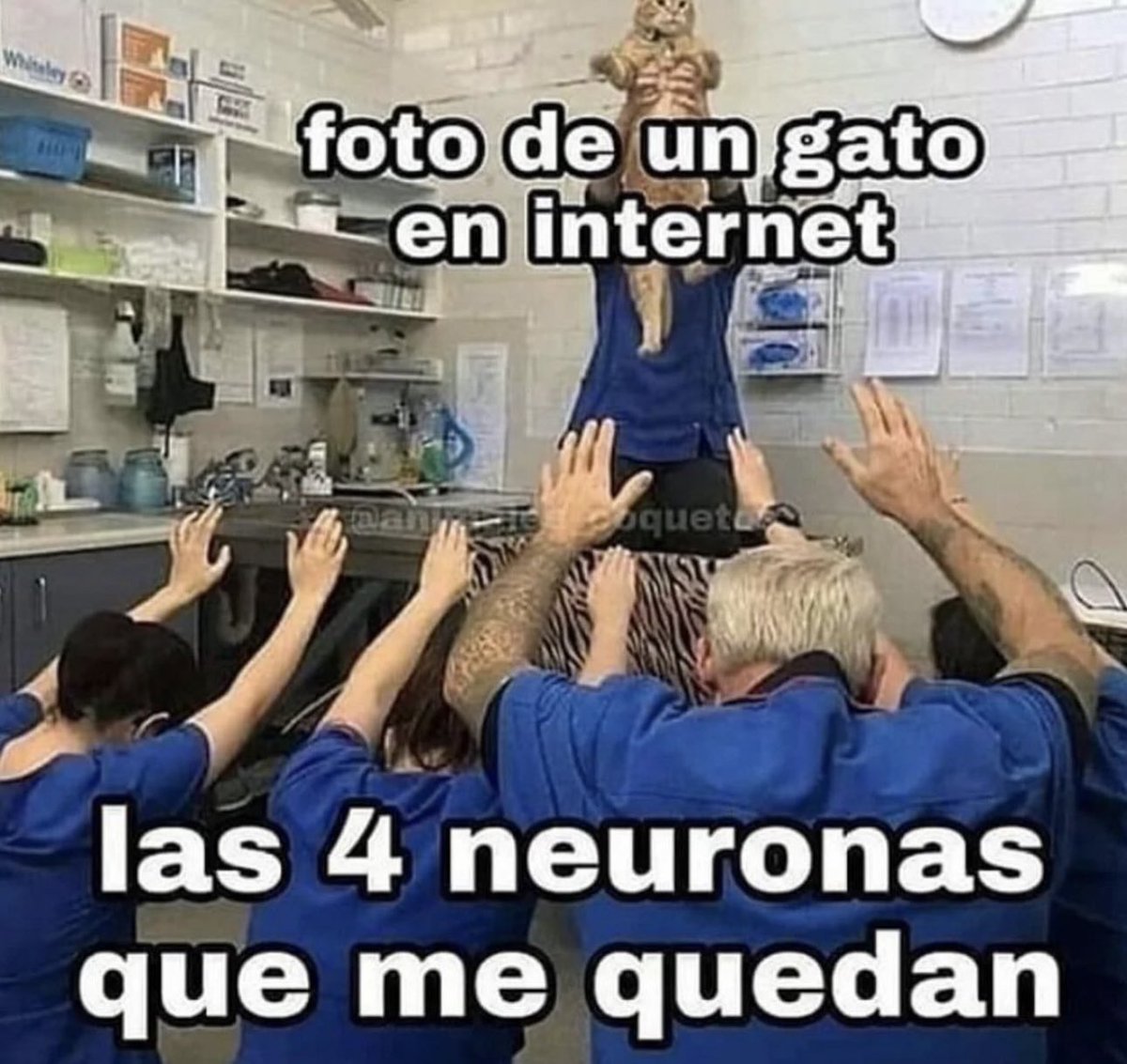 skereunpesado's tweet photo. https://t.co/7RwTHHLEFo