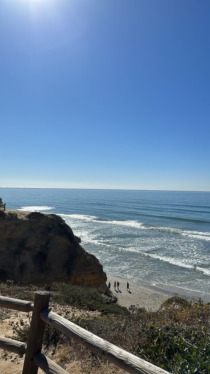 Vivi 👑 The Options Queen tweet media