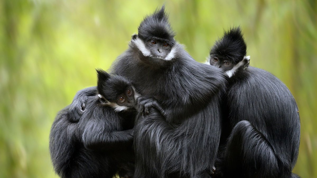 Outforia tweet media