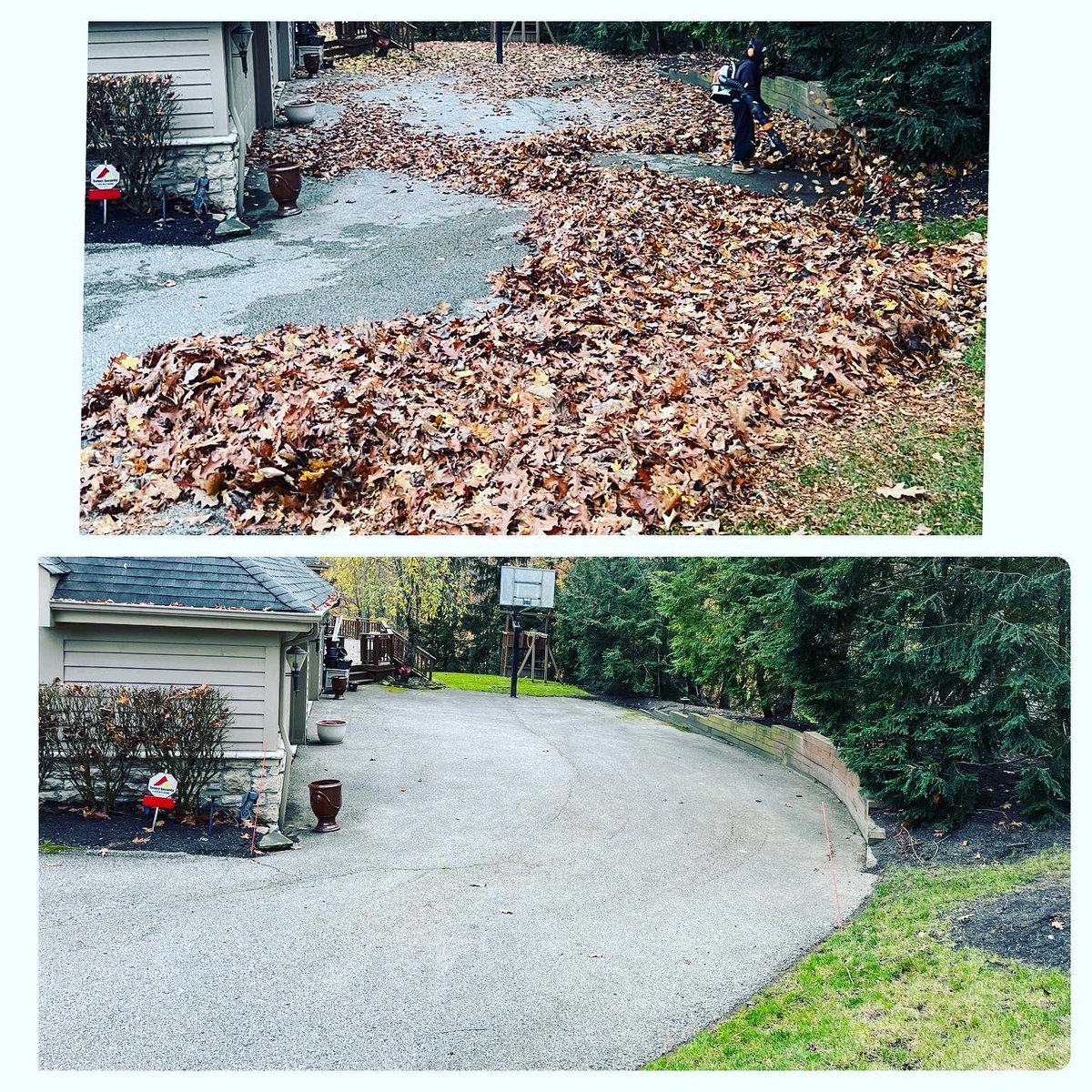 MosesCLE's tweet photo. A Few Spots Left For #FallLeafCleanUp This Fall. Beat The Winter! Put Your Yard To Rest!Northeast OhioCall my son,  Danny at 216.440.5449 cell/text#landscaping #landscapemaintenance #fallleafcleanup #residential #commercial
@dgpictureperfect Instagram https://t.co/9zzdzYmulE