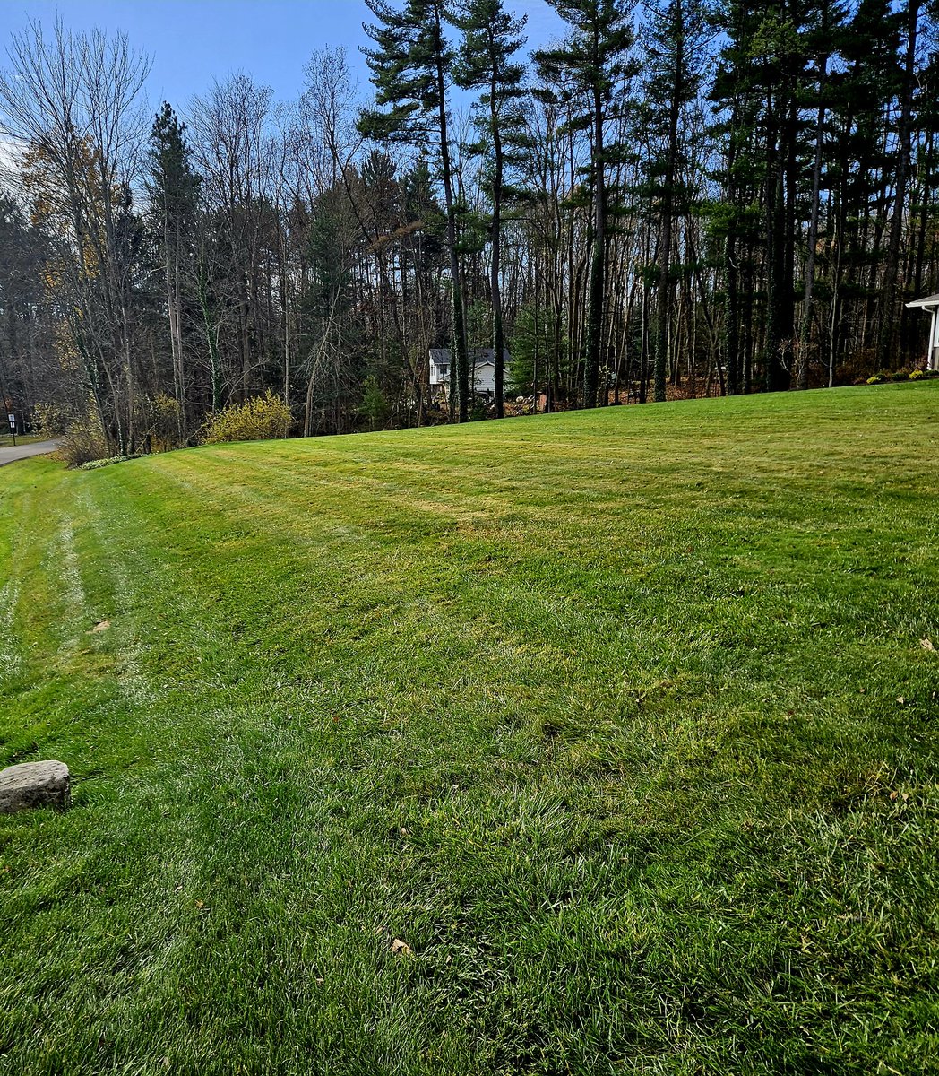 kevingoodmanBBN's tweet photo. A Few Spots Left For #FallLeafCleanUp This Fall. Beat The Winter! Put Your Yard To Rest!Northeast OhioCall my son,  Danny at 216.440.5449 cell/text#landscaping #landscapemaintenance #fallleafcleanup #residential #commercial
@dgpictureperfect Instagram https://t.co/bvvWaSJLfS