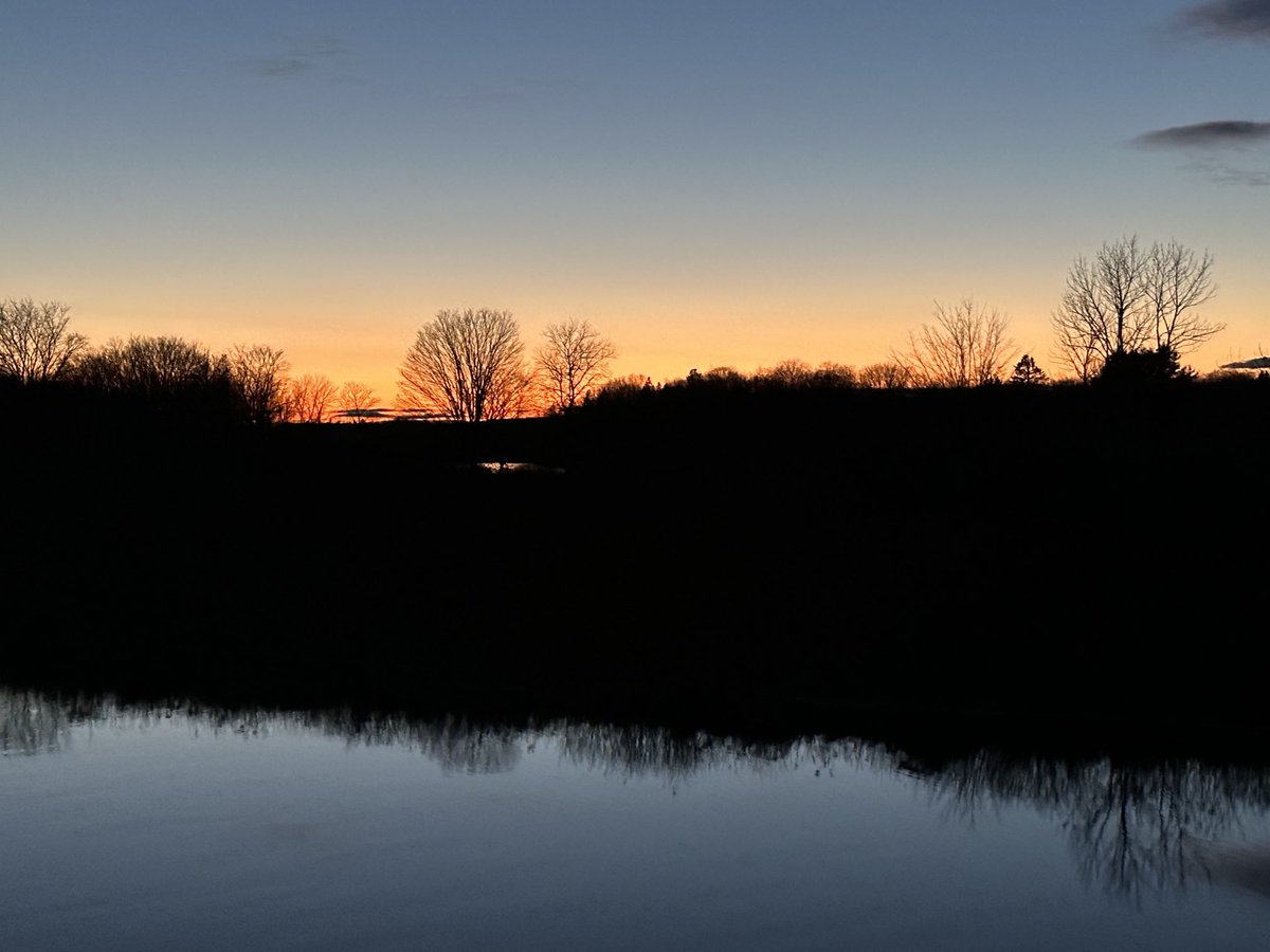 Faith Matchett tweet media