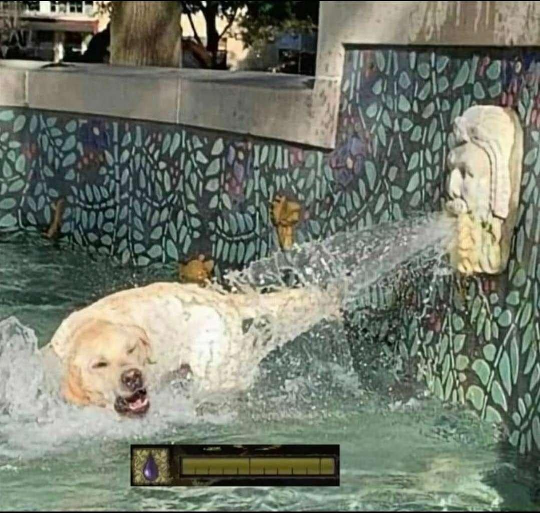 berserksouls (@berserksouls) on Twitter photo 