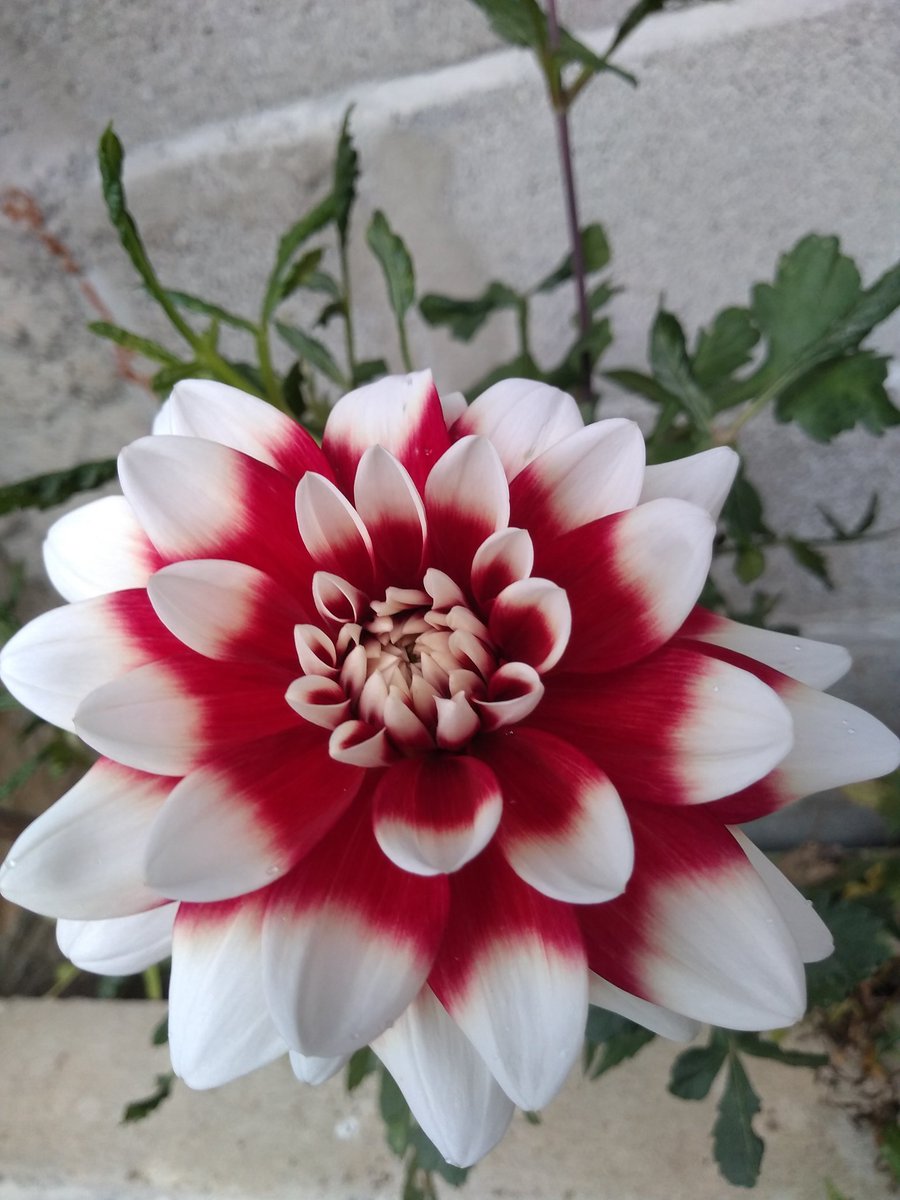 CecileB13's tweet photo. @AnneLouiseAvery https://t.co/EhNEhBpvhZ