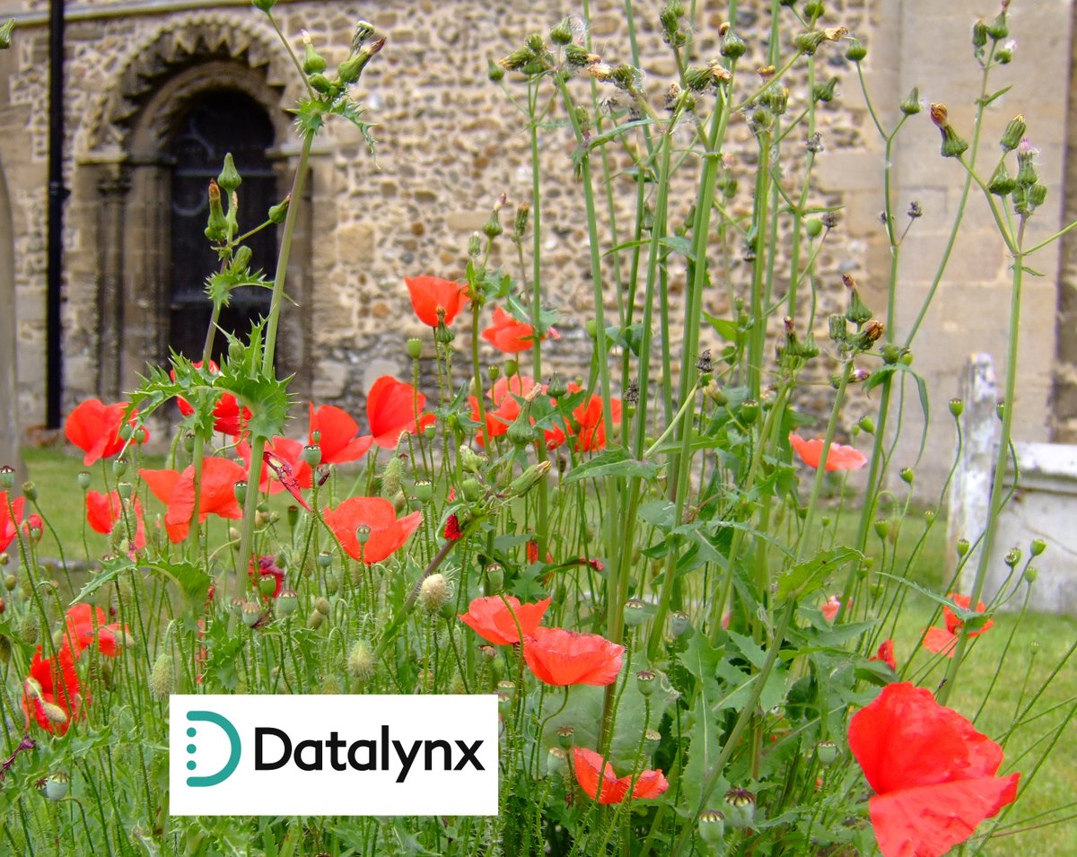 Datalynx will be remembering all of those who have served this weekend, and especially those who have made sacrifices in order that we can live and work free from the threat of war. 
tinyurl.com/yn29wkhv