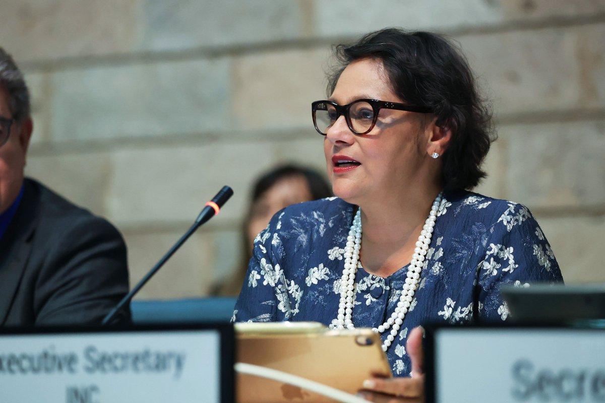 Delegates for #PlasticsTreaty #INC3 attended a prep meeting on issues not previously discussed primarily related to the preamble, principles, definitions, and scope of the new agreement on #plasticpollution

Read ➡️ enb.iisd.org/plastic-pollut…

#plastic #beatplasticpollution