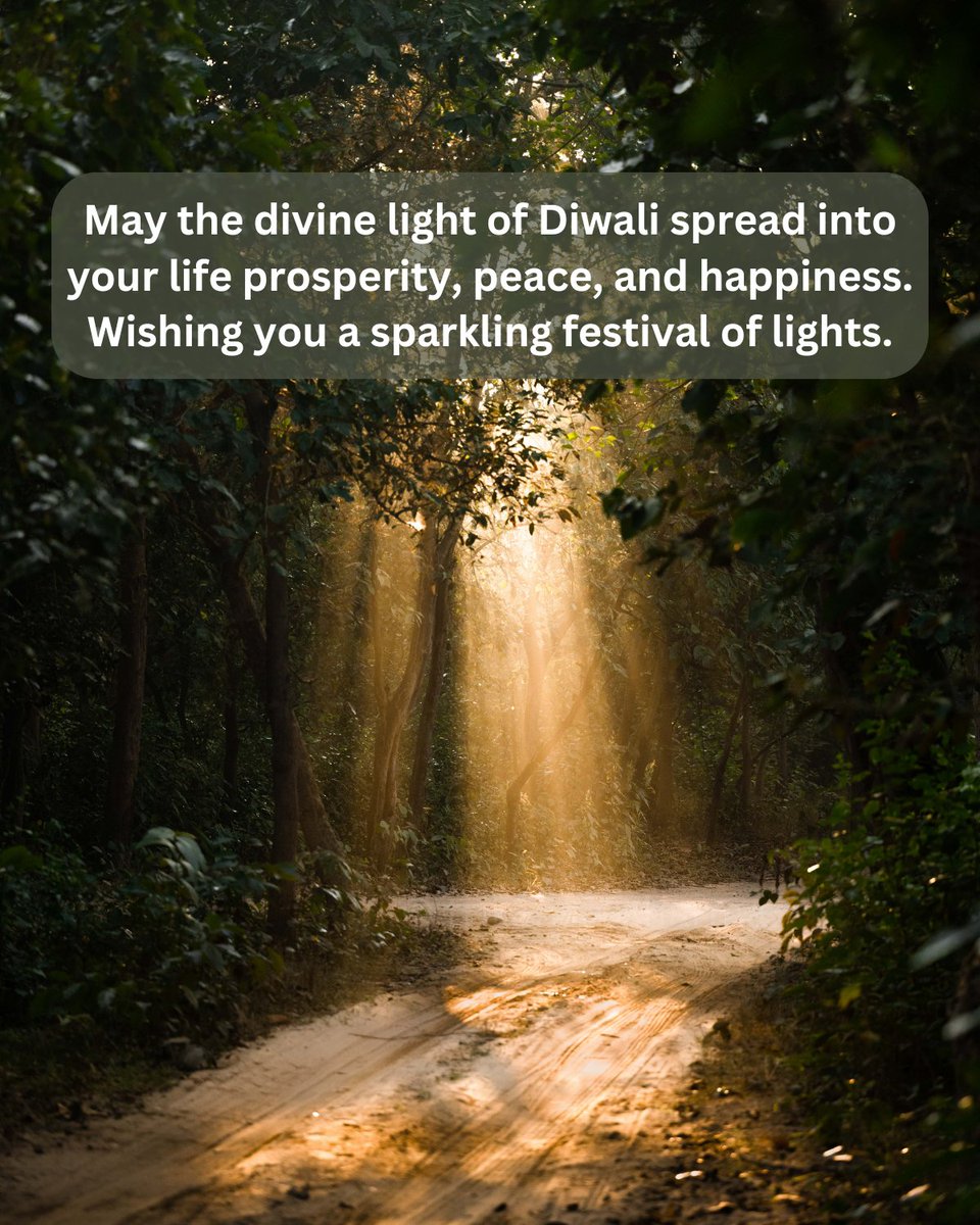 #DiwaliGreetings to everyone 🙏 don't forget, it's a festival of light not crackers. #diwalivibes