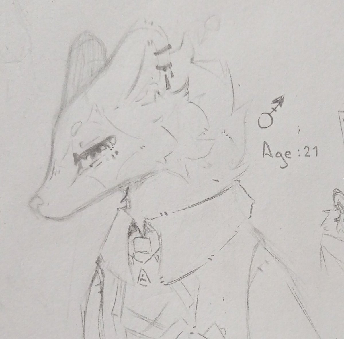 _7H30_'s tweet photo. ⌕ׅ  ׅ  𖣯ᔾ⋮⌈ Oc en proceso- Wa⌋ ✧ !! ʾʾ
#furryart #furryartwork #Huron #art https://t.co/mVseJPTUOe