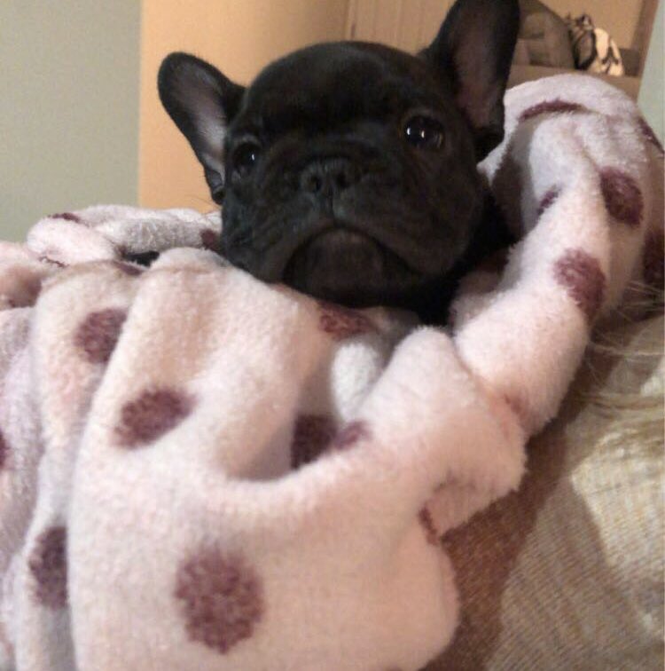 Welcome to the family! 🥹