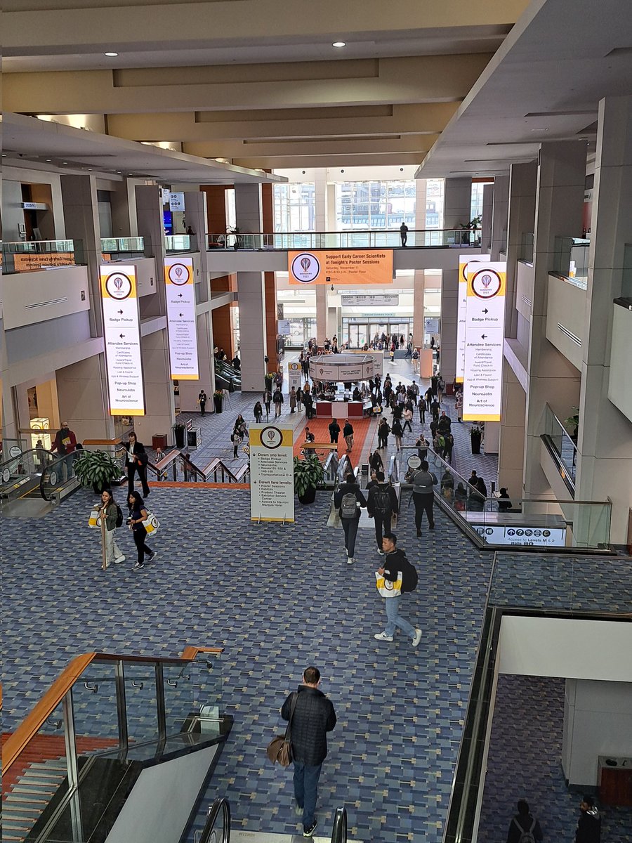 Fatma Mufti فاطمة المفتي tweet media