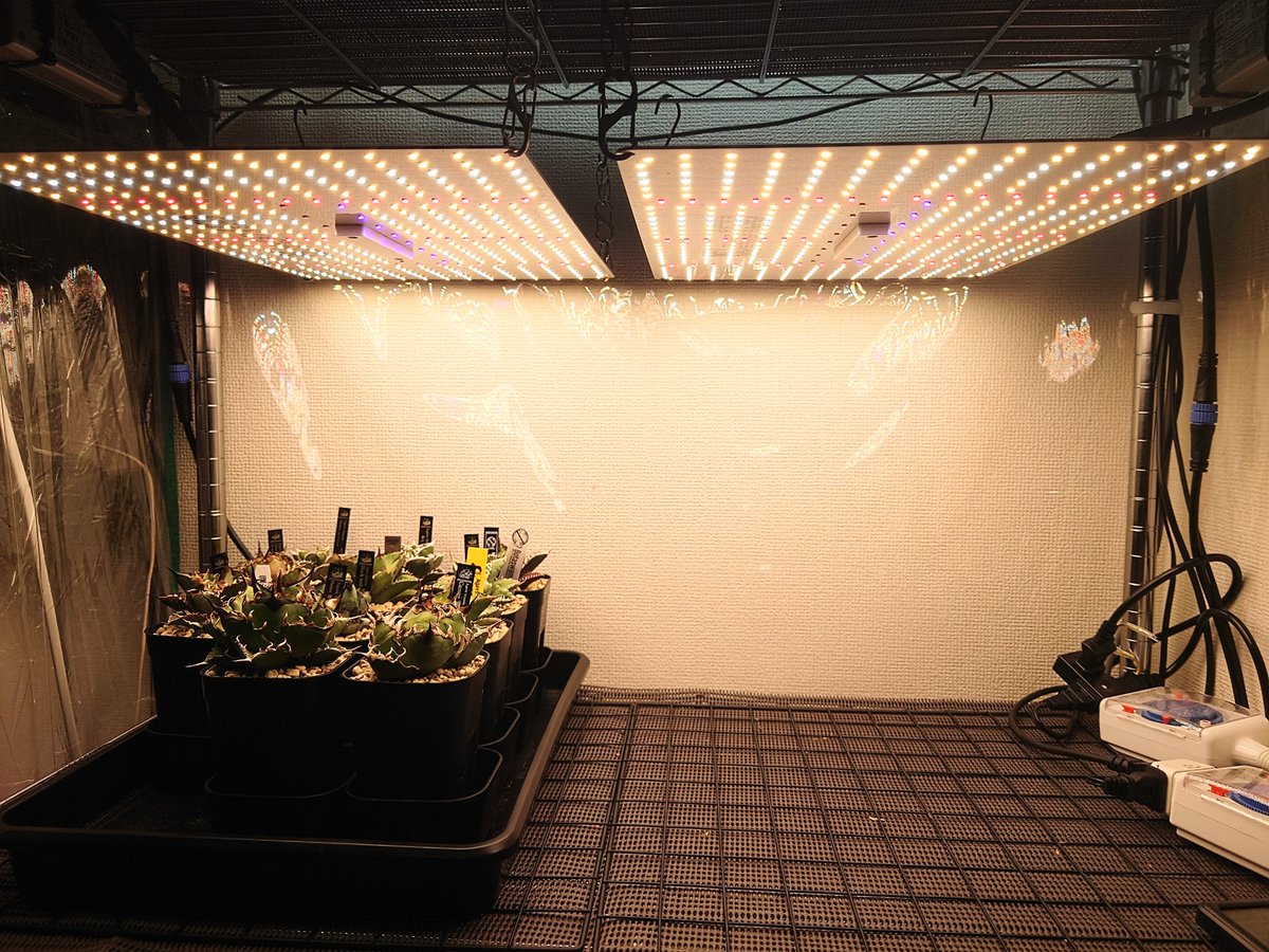 i.g.s plants (@igs_plants) / X